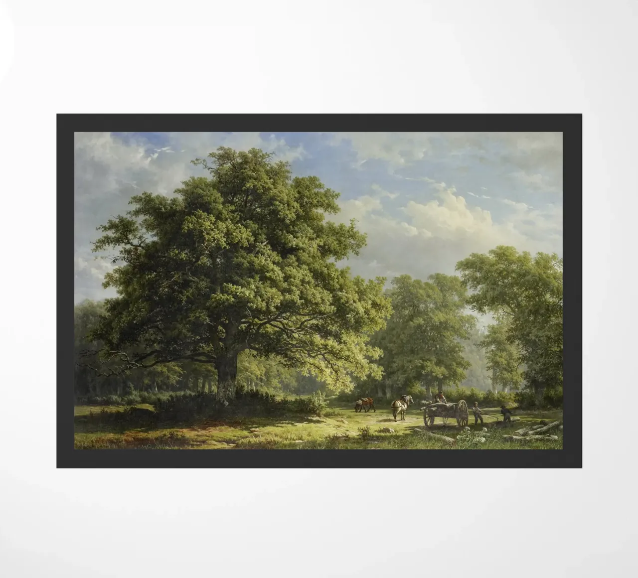 View in the Bentheim Forest zerbino da vintageshop