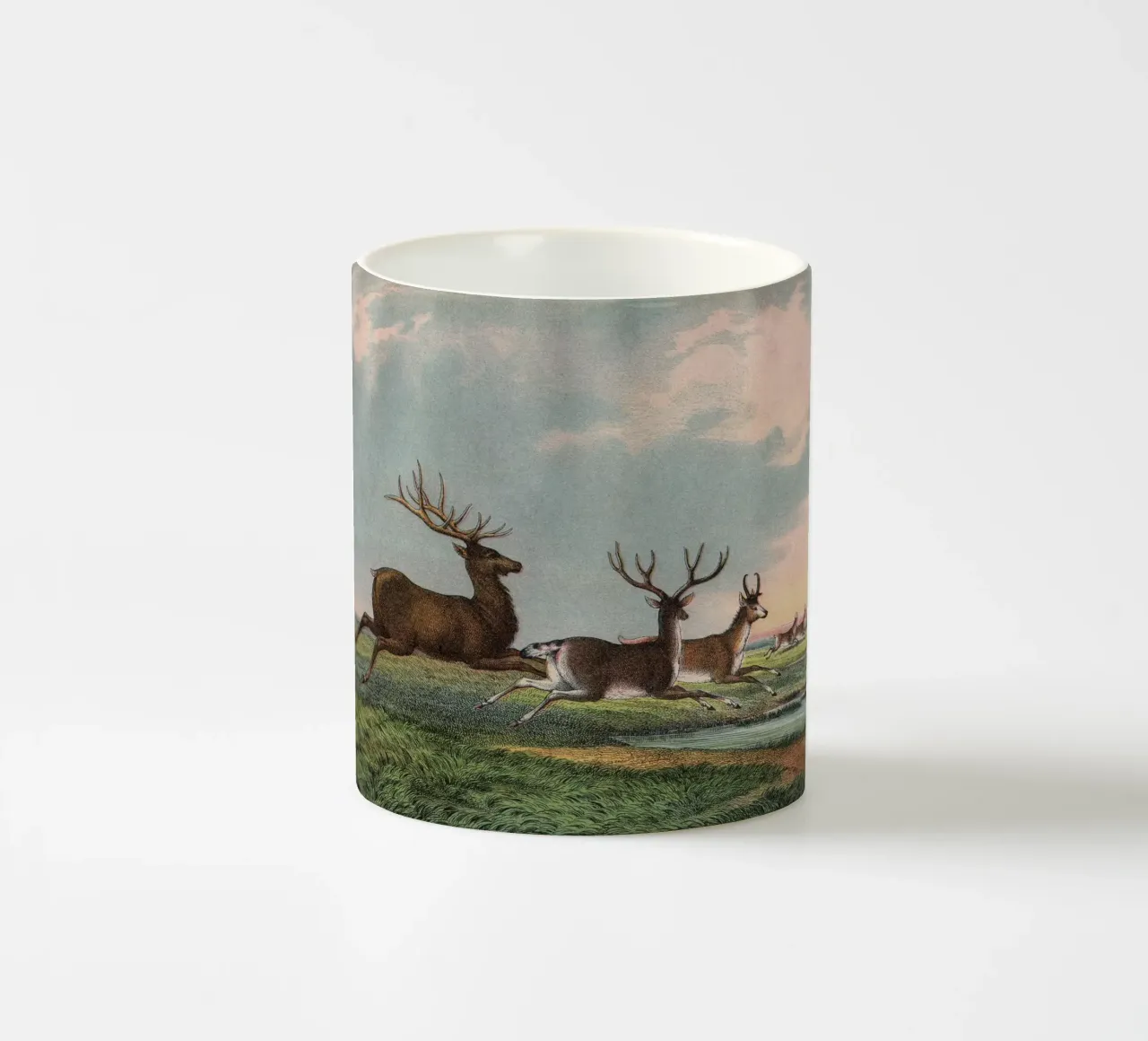 Vintage Kolb 9 Tafel 54 Hirsch tazza in ceramica da Vintage Print Collection