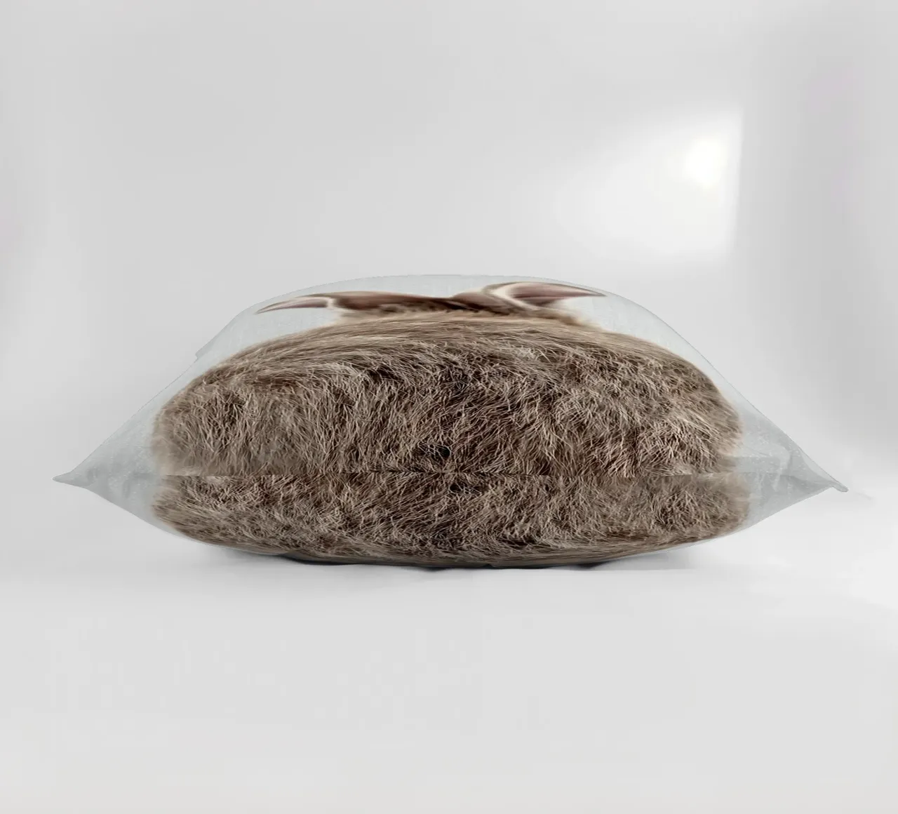 Coda di coniglio colorata cuscino da Eldon S Kiser
