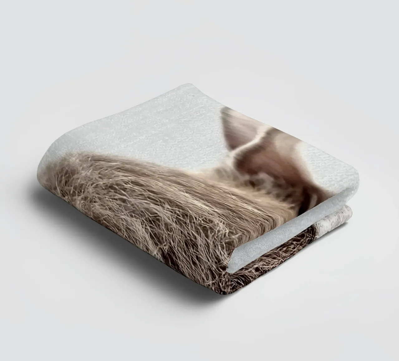 Coda di coniglio colorata asciugamano da bagno da Eldon S Kiser