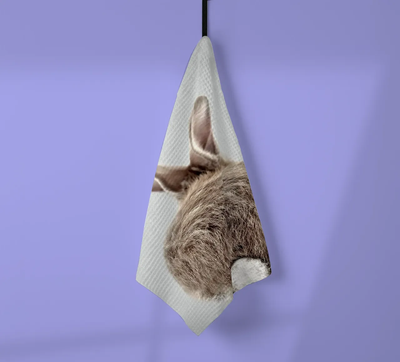 Queue de bébé lapin colorée torchon de Eldon S Kiser