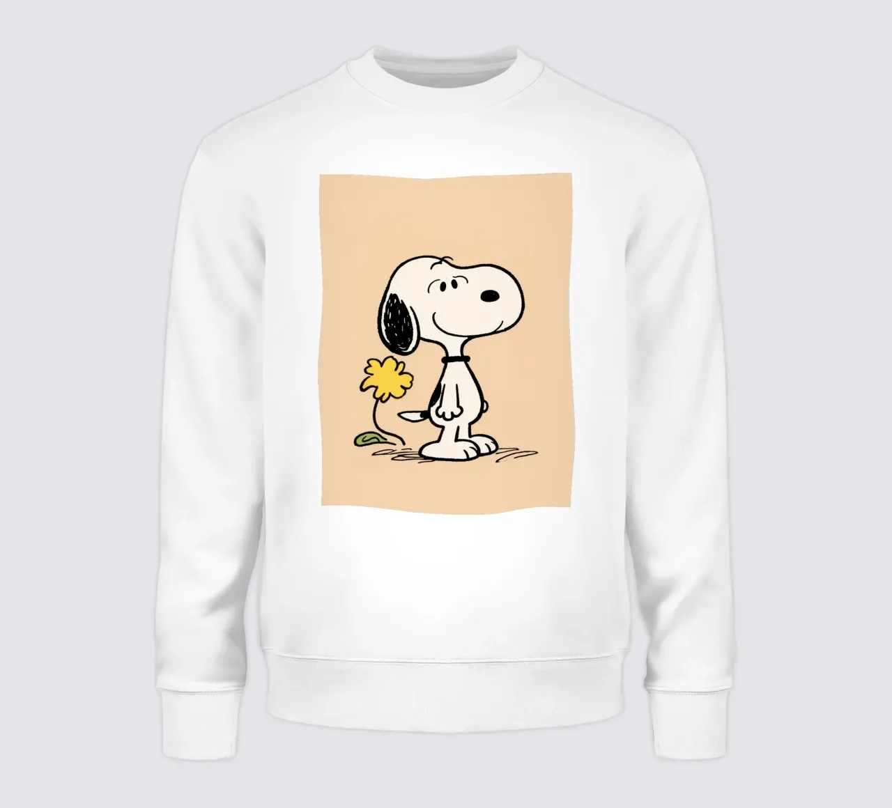 Funny Snoopy felpa da knowledge