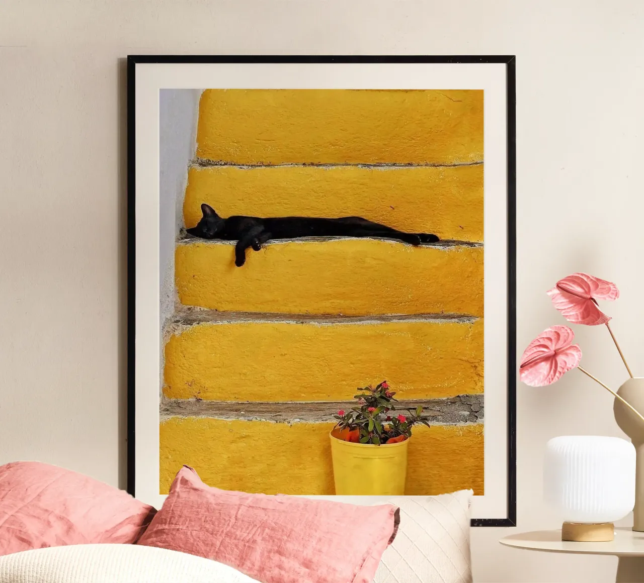 cat lie on stair poster da sophiaz