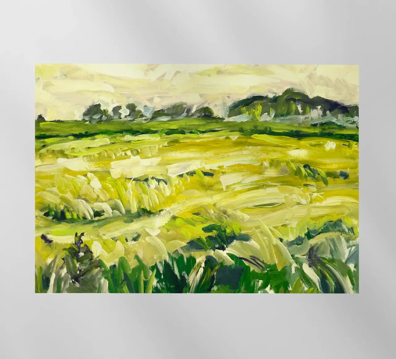 Green Field pellicola backlit da mip of map