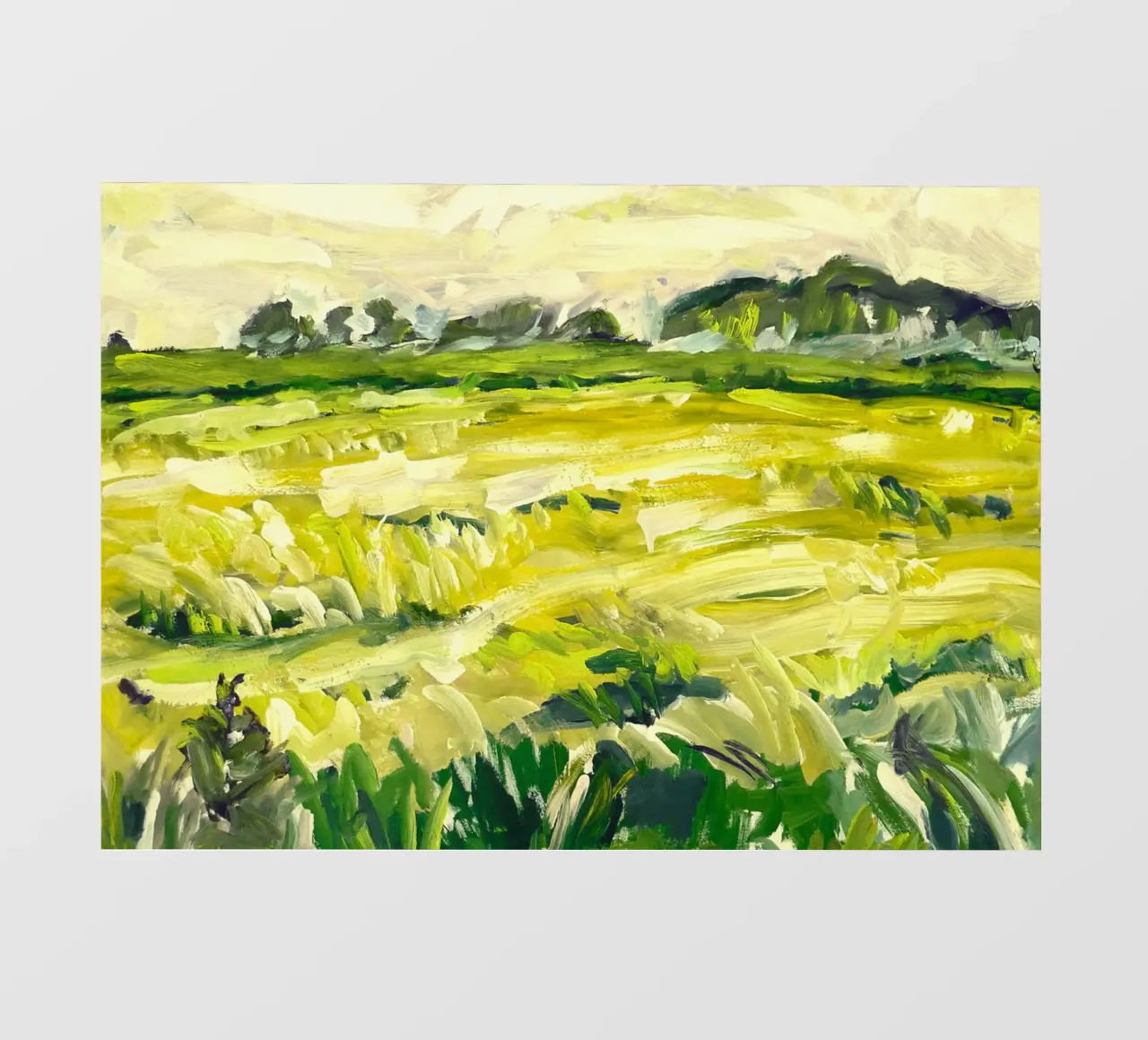 Green Field telo in pvc da mip of map