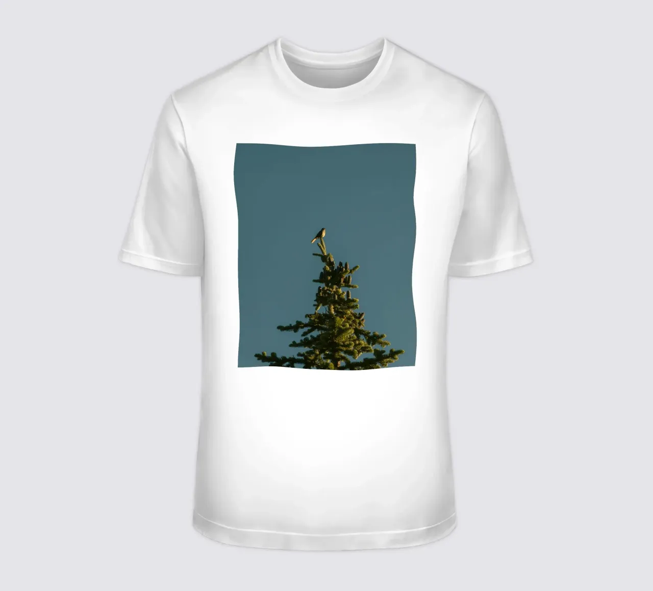 Little bird perched on the pine tree t-shirt da mip of map