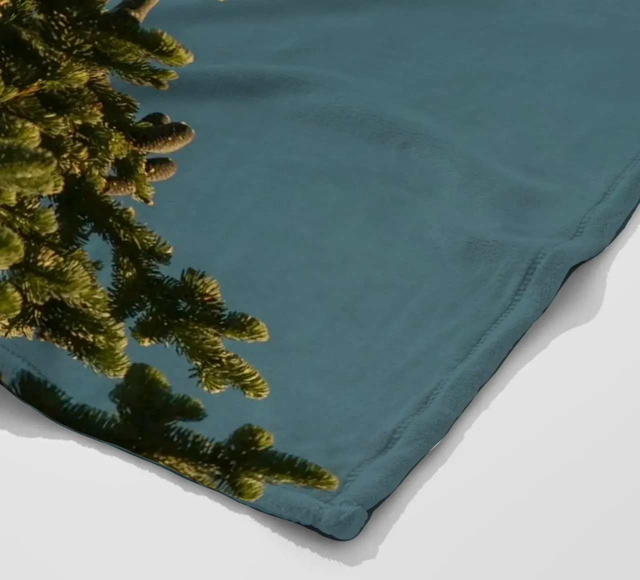 Little bird perched on the pine tree coperta in pile da mip of map