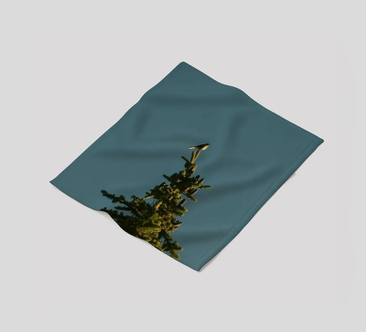 Little bird perched on the pine tree coperta in pile da mip of map