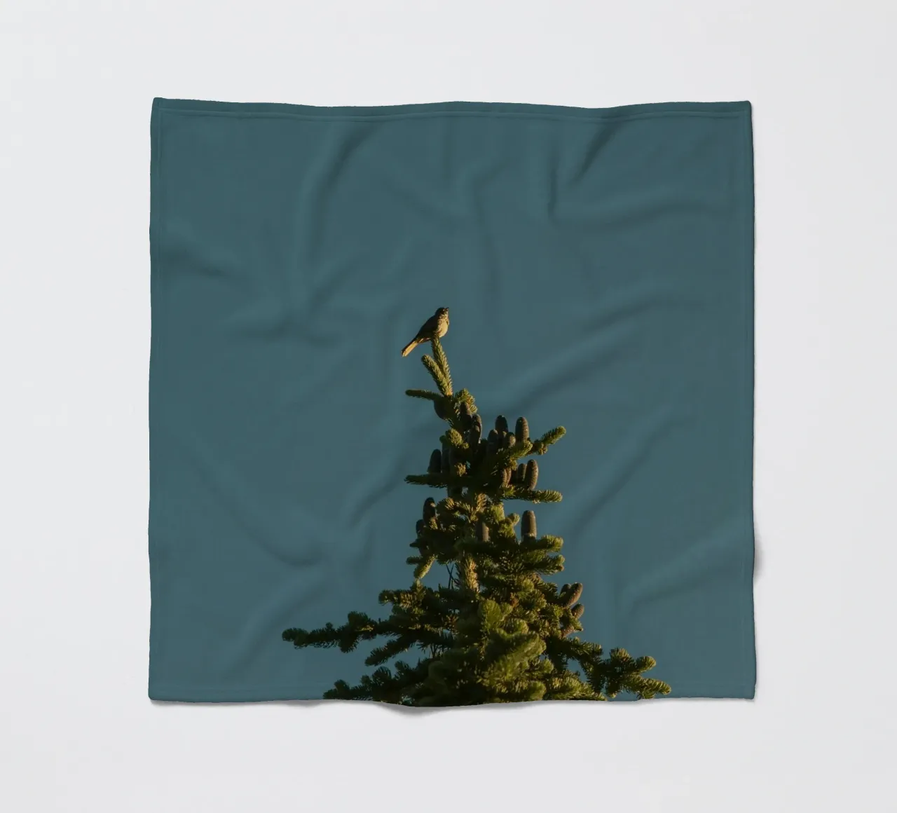 Little bird perched on the pine tree coperta in pile da mip of map