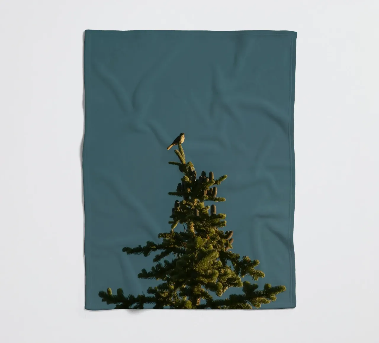 Little bird perched on the pine tree coperta in pile da mip of map