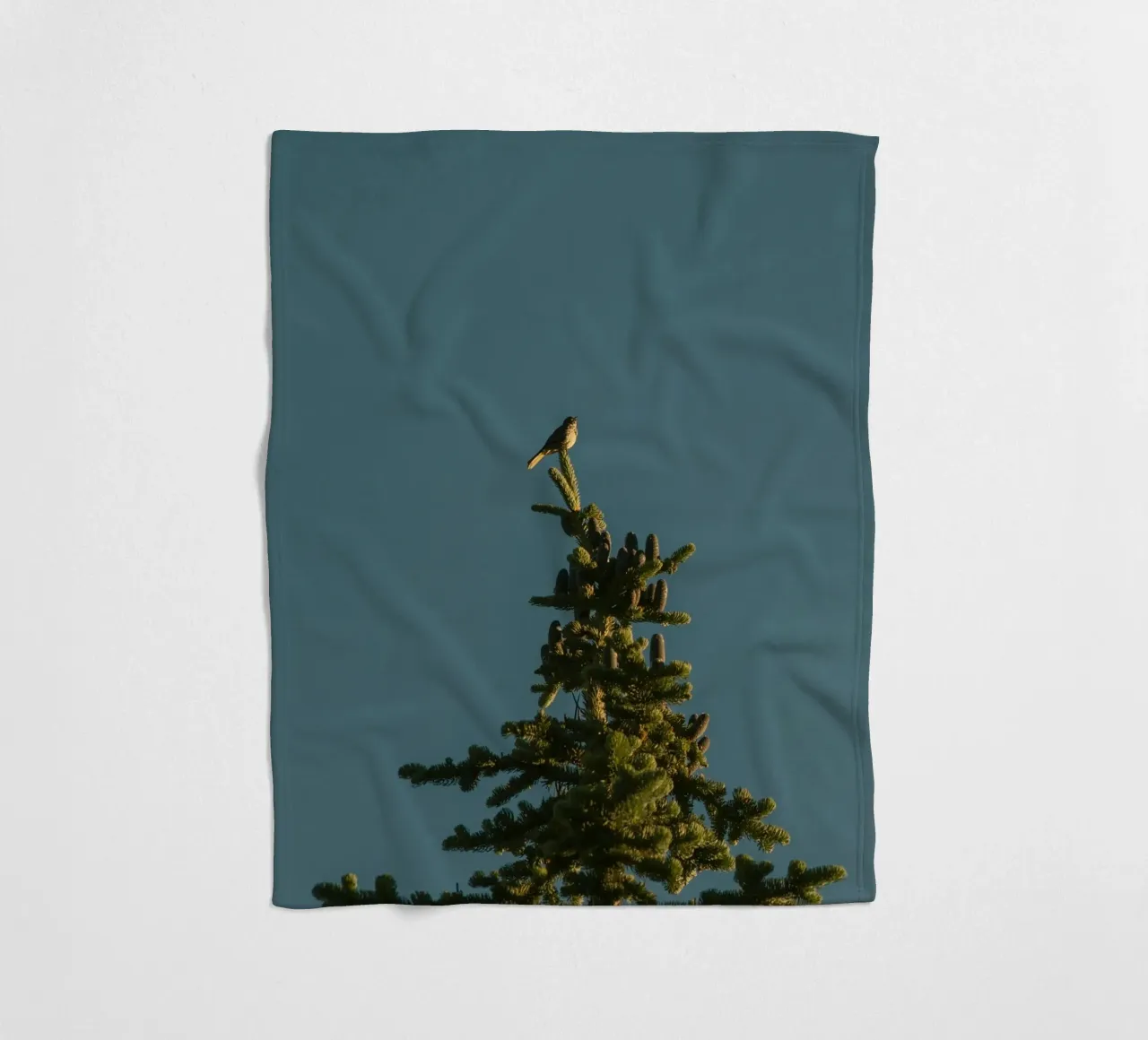 Little bird perched on the pine tree coperta in pile da mip of map