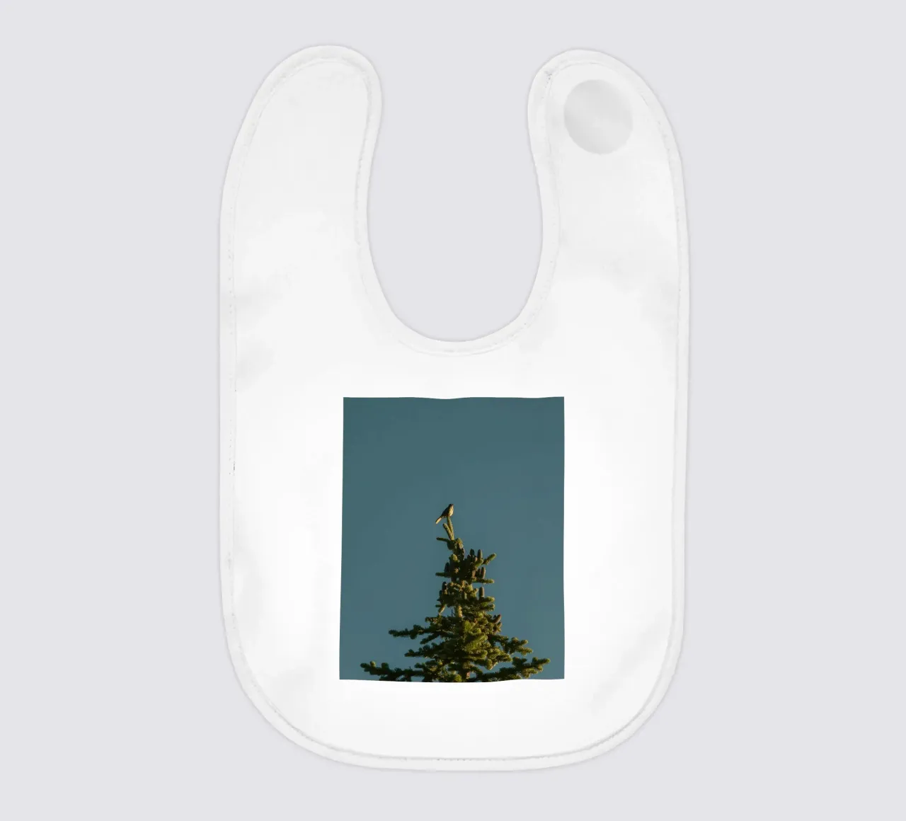 Little bird perched on the pine tree bavaglino da mip of map