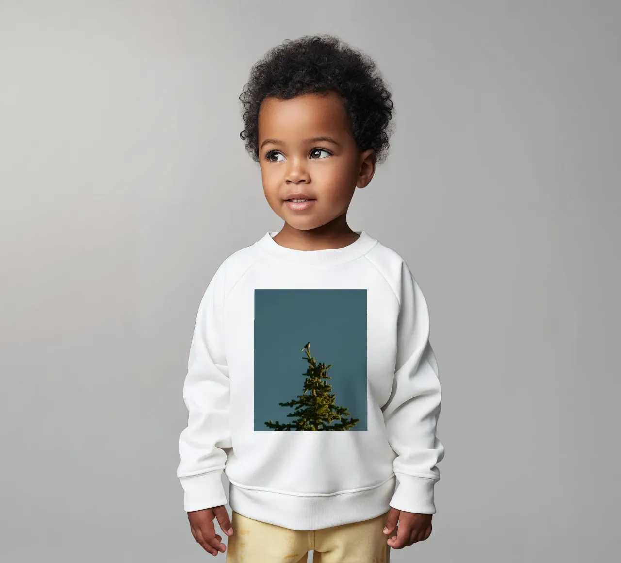 Little bird perched on the pine tree felpa neonato da mip of map