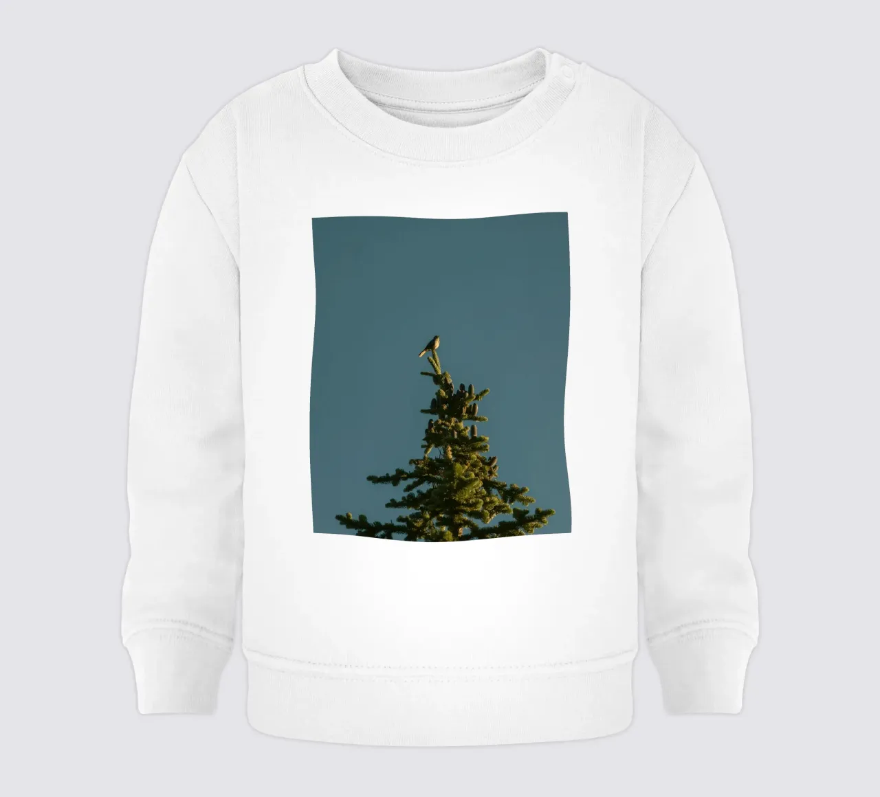 Little bird perched on the pine tree felpa neonato da mip of map