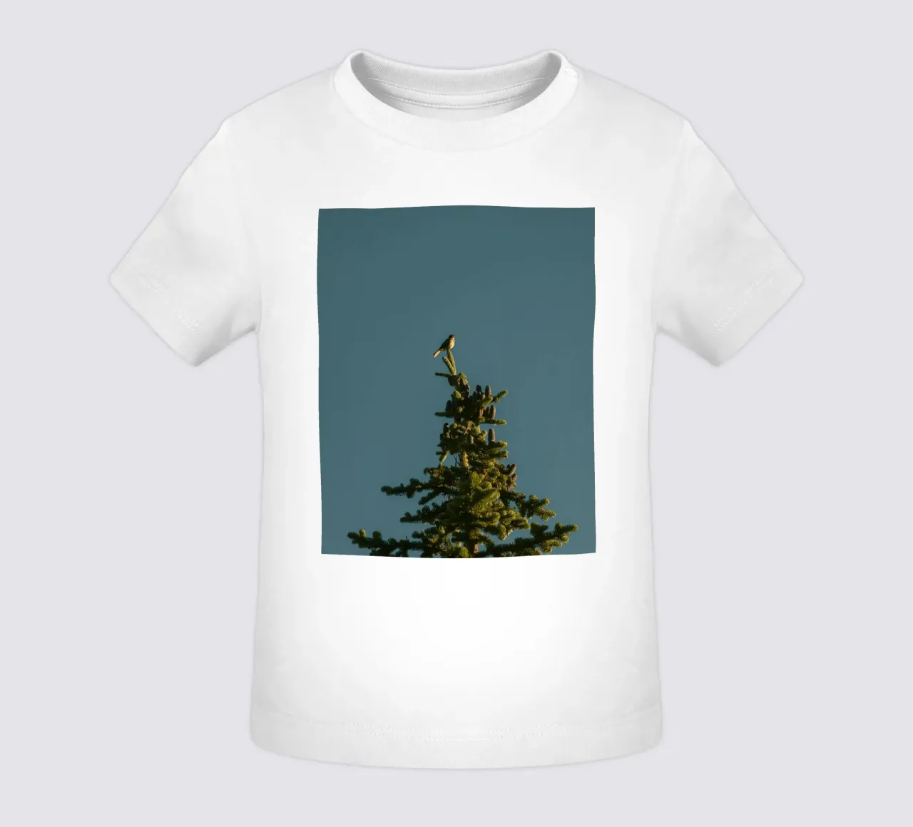 Little bird perched on the pine tree maglietta neonato da mip of map