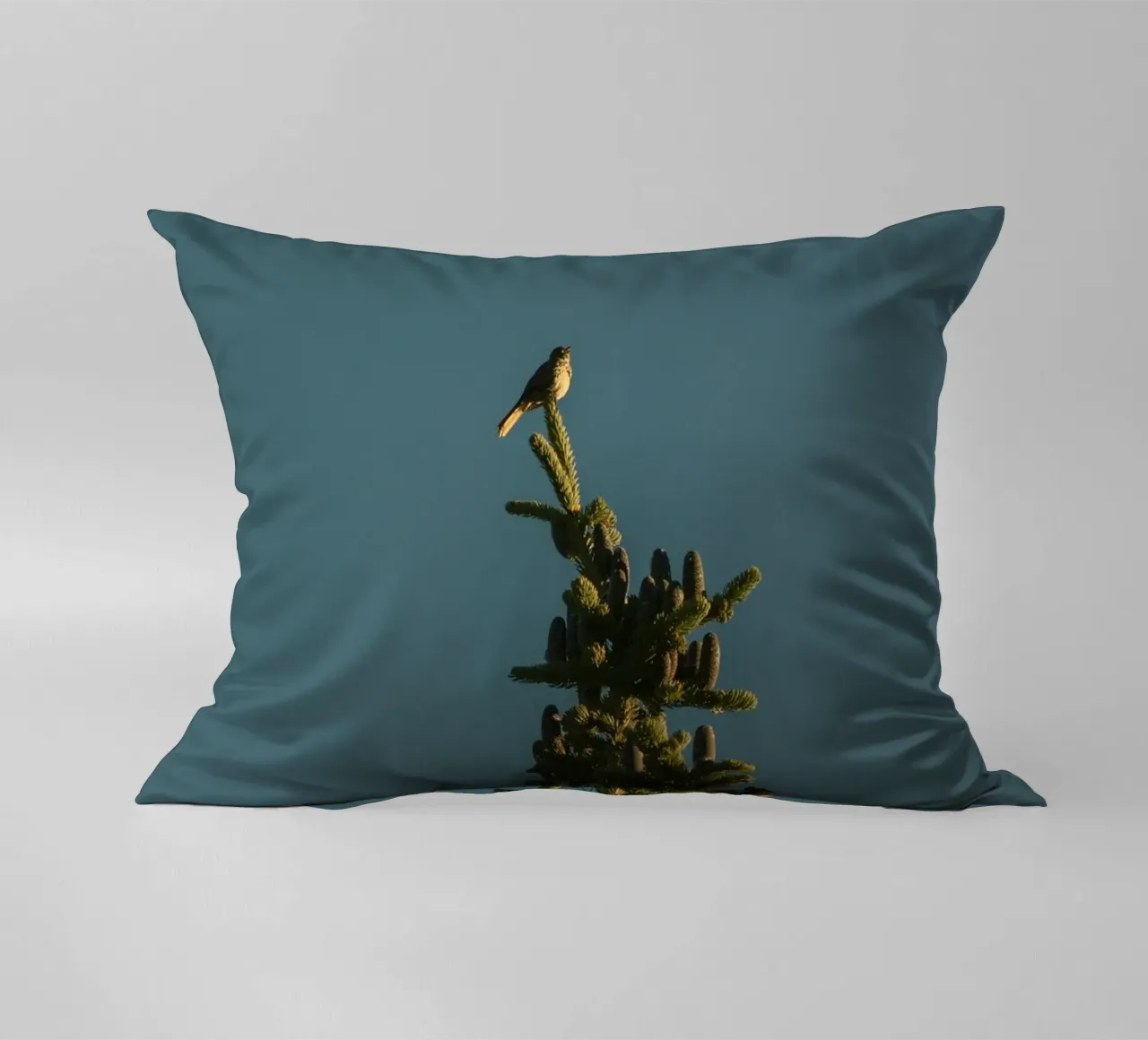 Little bird perched on the pine tree cuscino da mip of map
