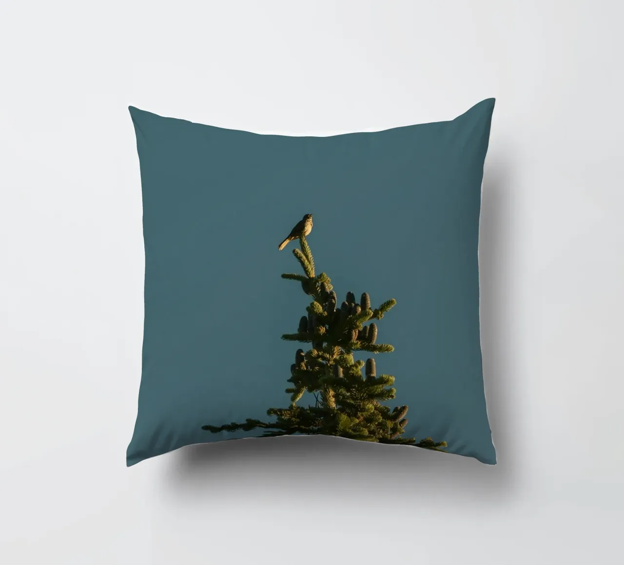 Little bird perched on the pine tree cuscino da mip of map