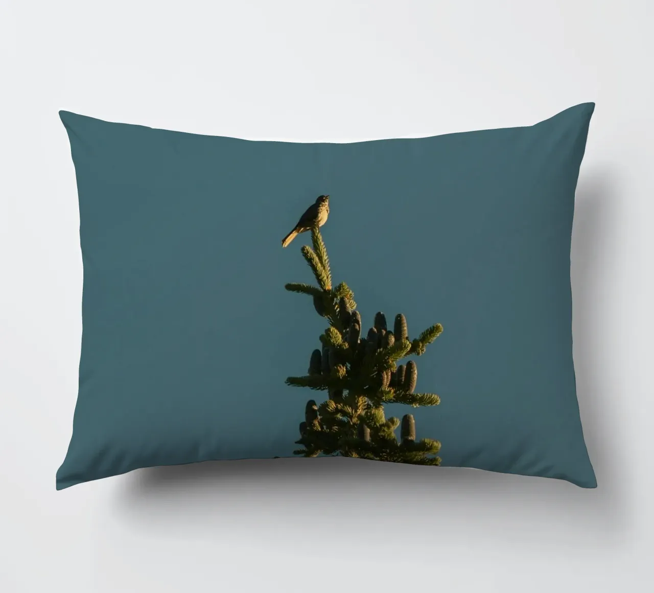 Little bird perched on the pine tree cuscino da mip of map