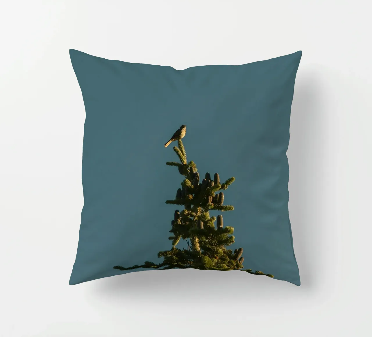 Little bird perched on the pine tree cuscino da mip of map