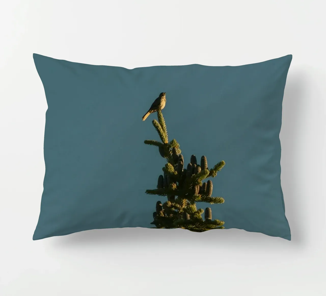 Little bird perched on the pine tree cuscino da mip of map