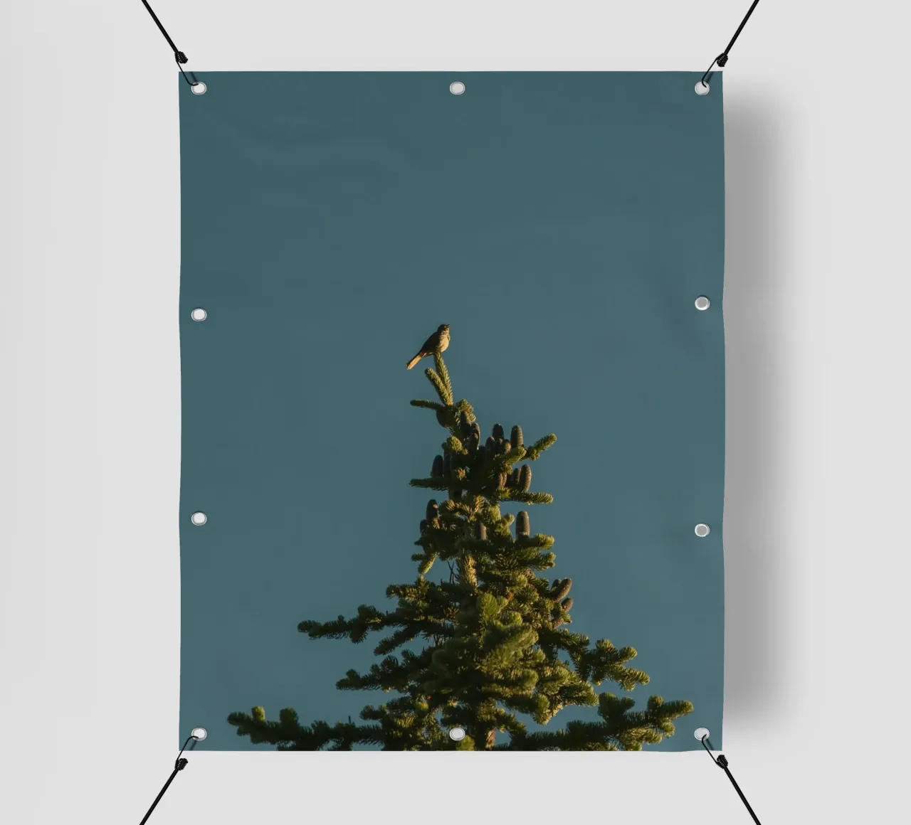 Little bird perched on the pine tree telo in pvc da mip of map