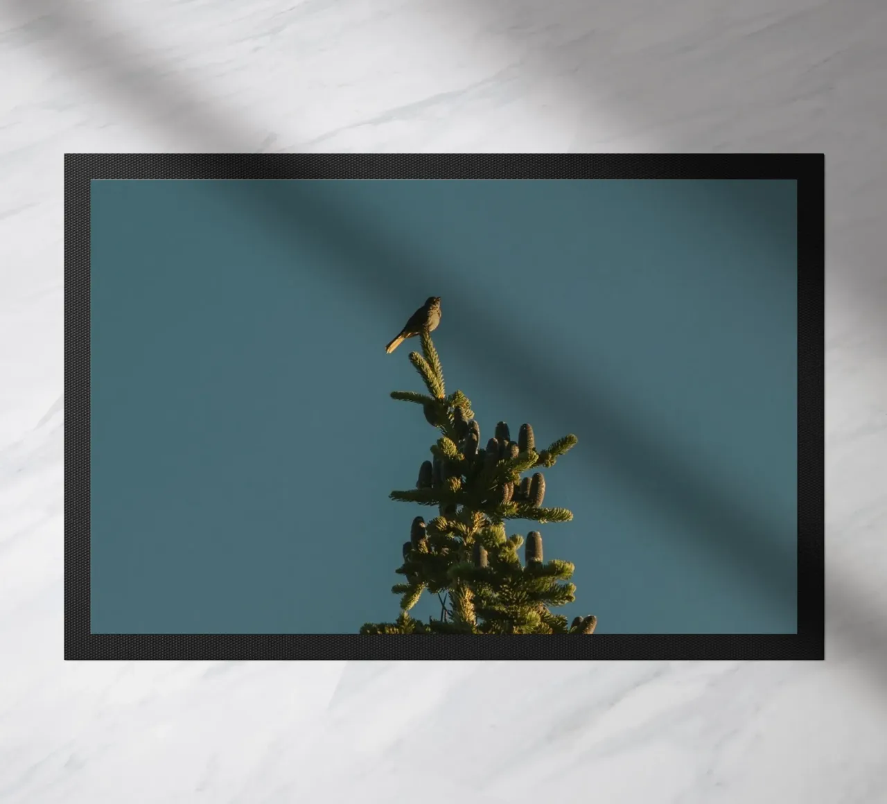Little bird perched on the pine tree zerbino da mip of map
