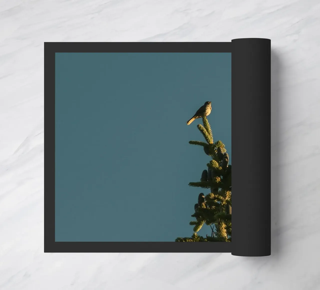 Little bird perched on the pine tree zerbino da mip of map
