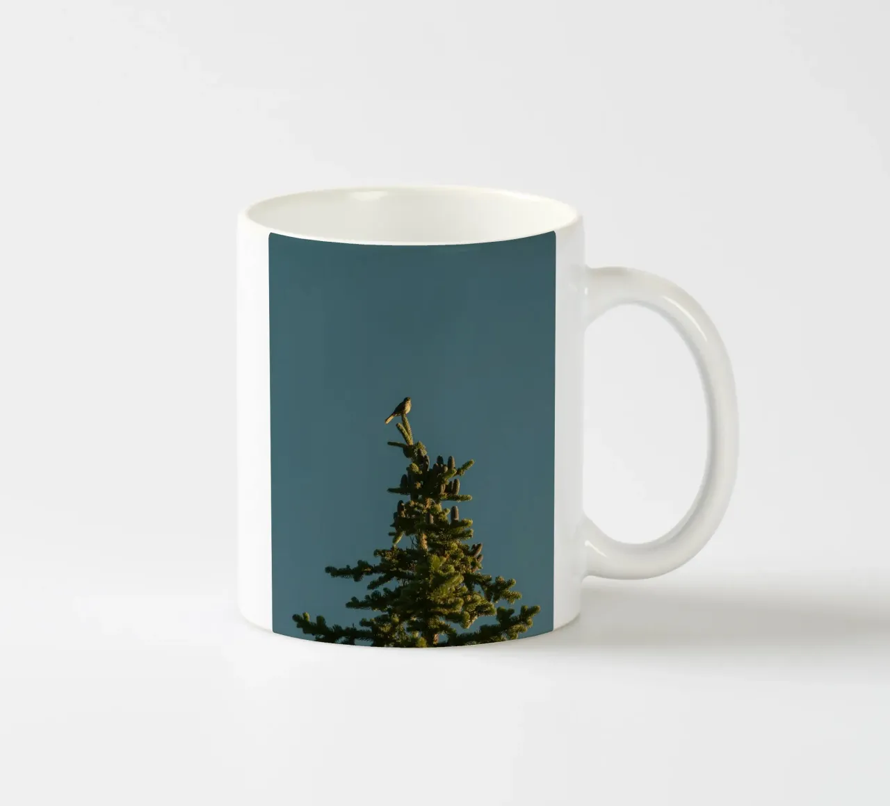 Little bird perched on the pine tree tazza in ceramica da mip of map
