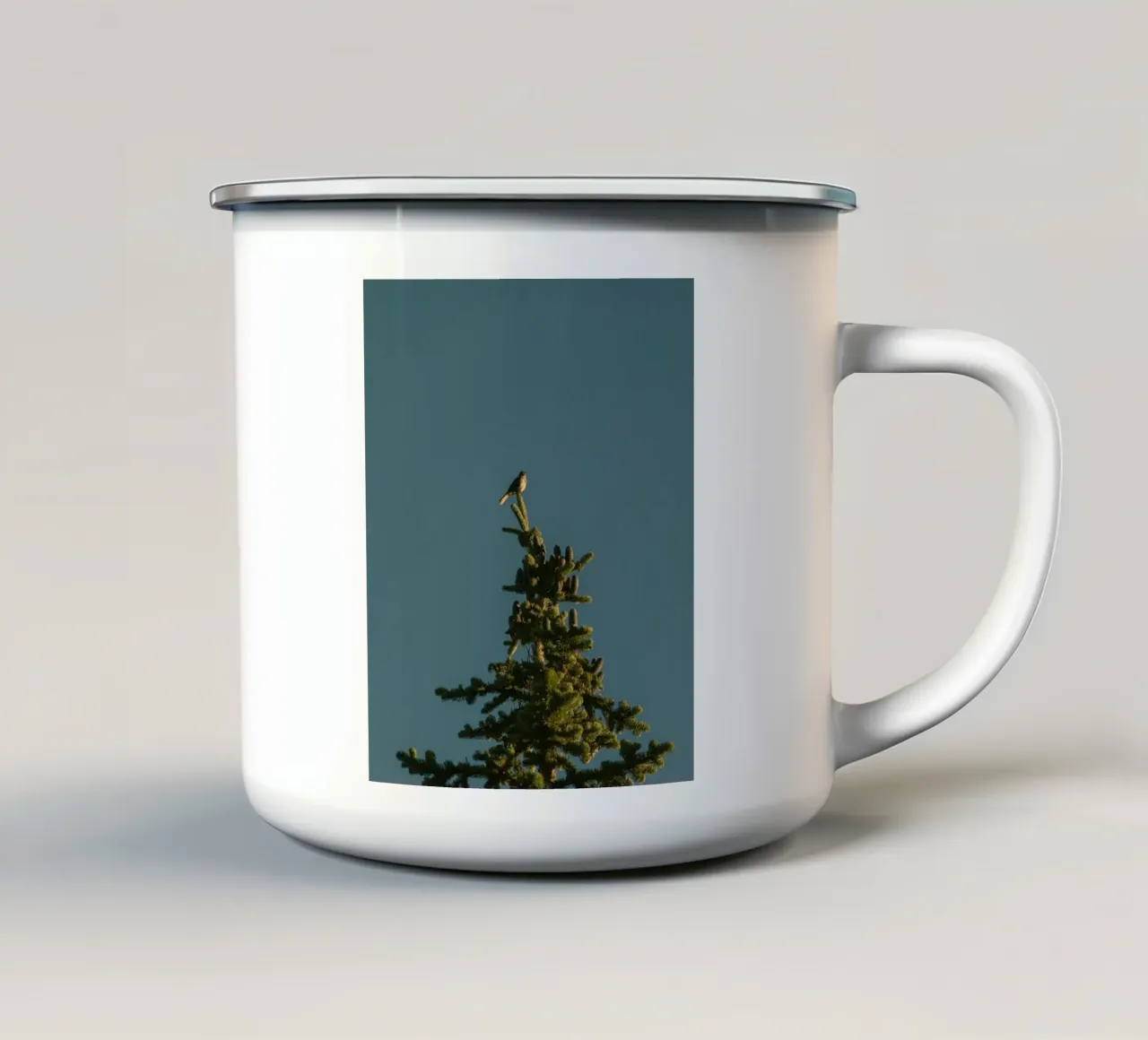 Little bird perched on the pine tree tazza in smalto da mip of map