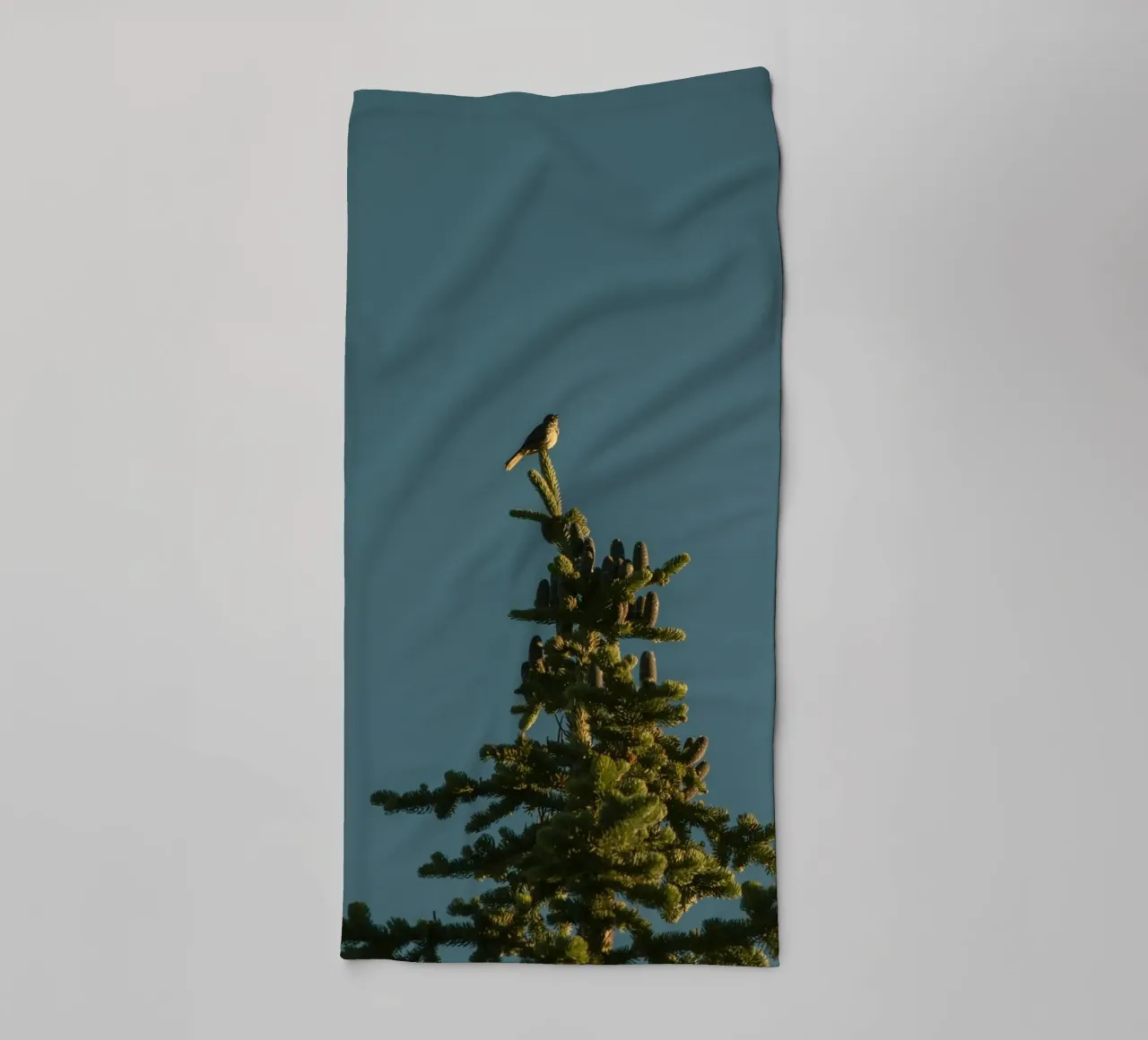 Little bird perched on the pine tree asciugamano da bagno da mip of map