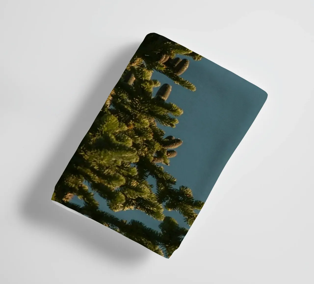 Little bird perched on the pine tree asciugamano da bagno da mip of map