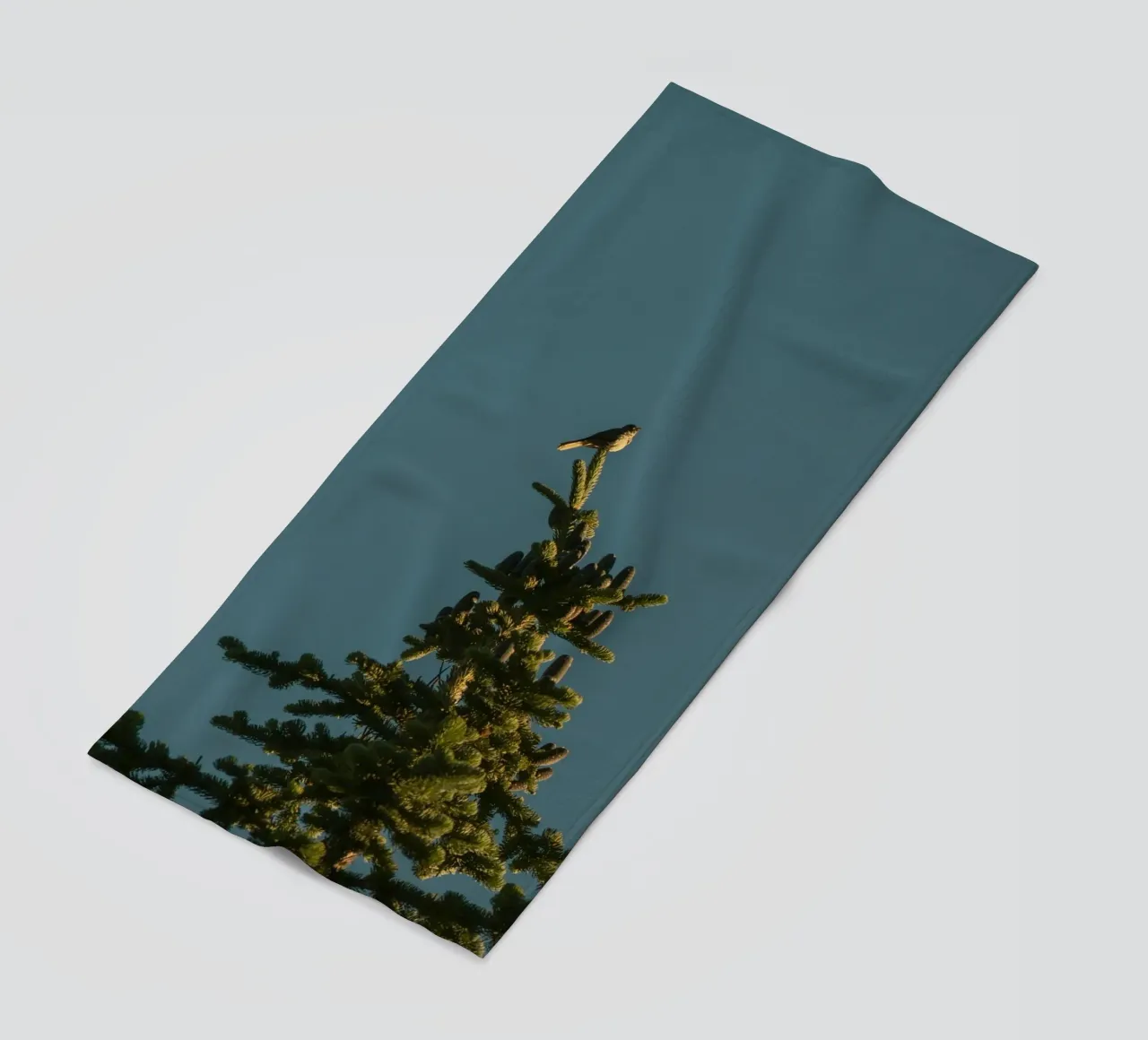 Little bird perched on the pine tree telo mare da mip of map
