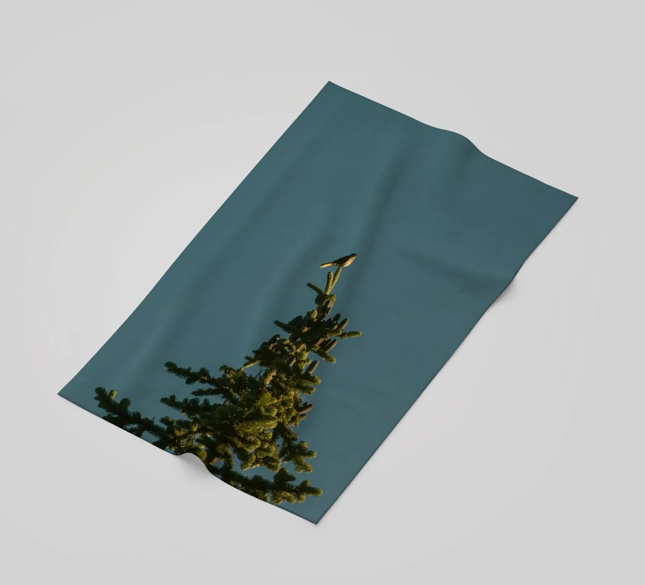 Little bird perched on the pine tree telo mare da mip of map