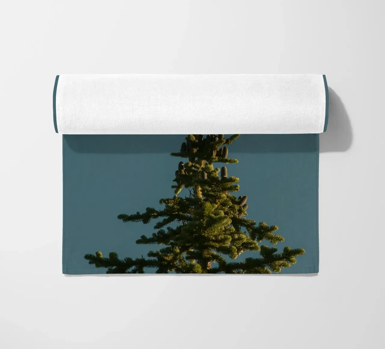 Little bird perched on the pine tree telo mare da mip of map