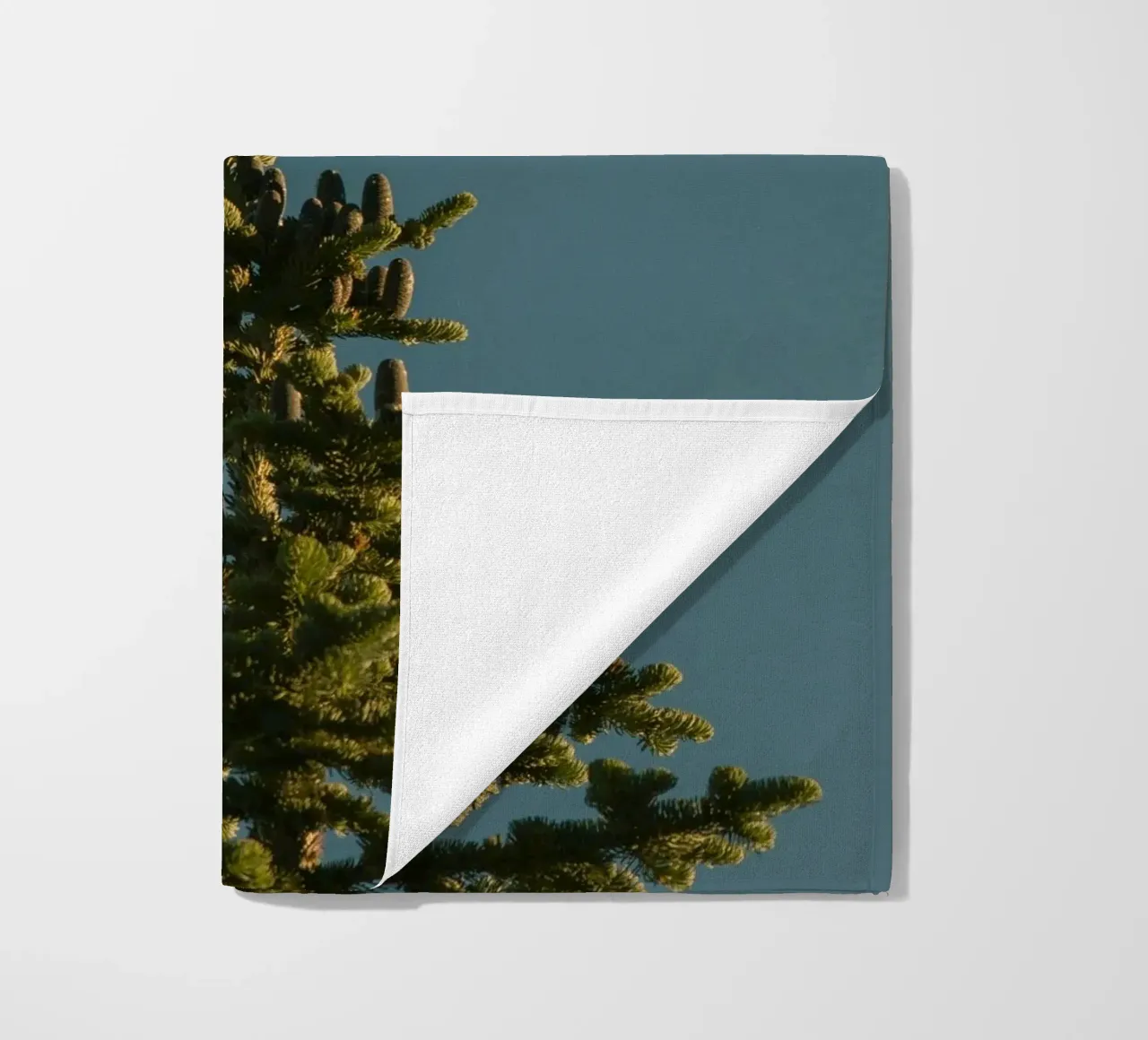 Little bird perched on the pine tree telo mare da mip of map