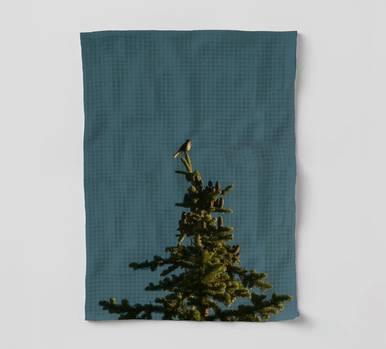Little bird perched on the pine tree canovaccio da cucina da mip of map