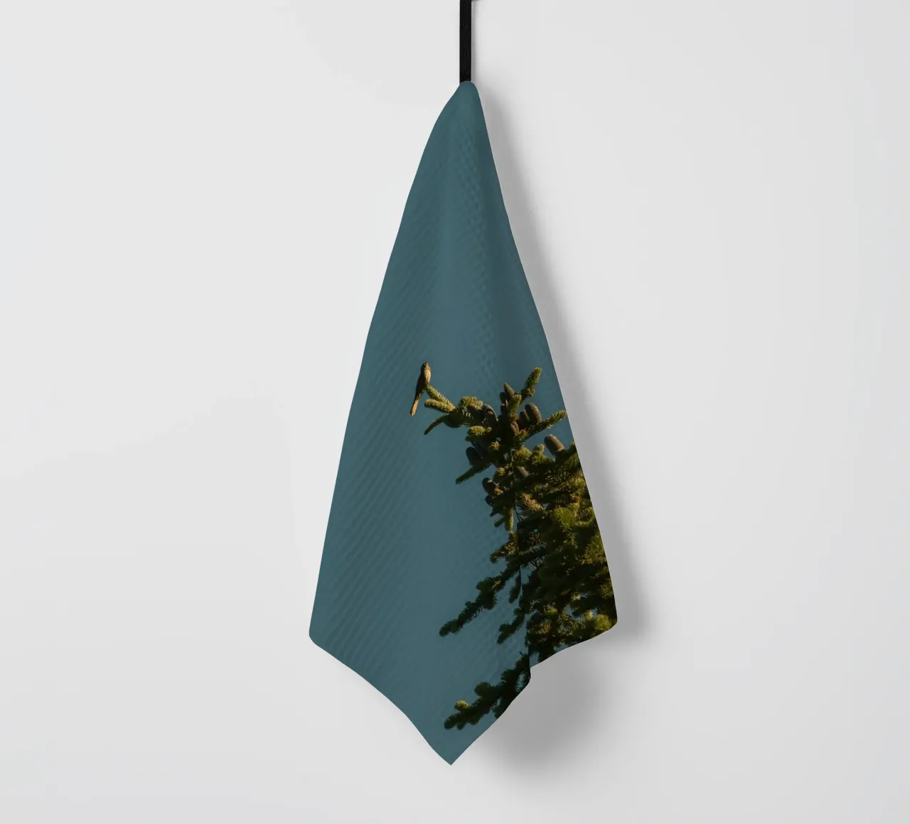 Little bird perched on the pine tree canovaccio da cucina da mip of map