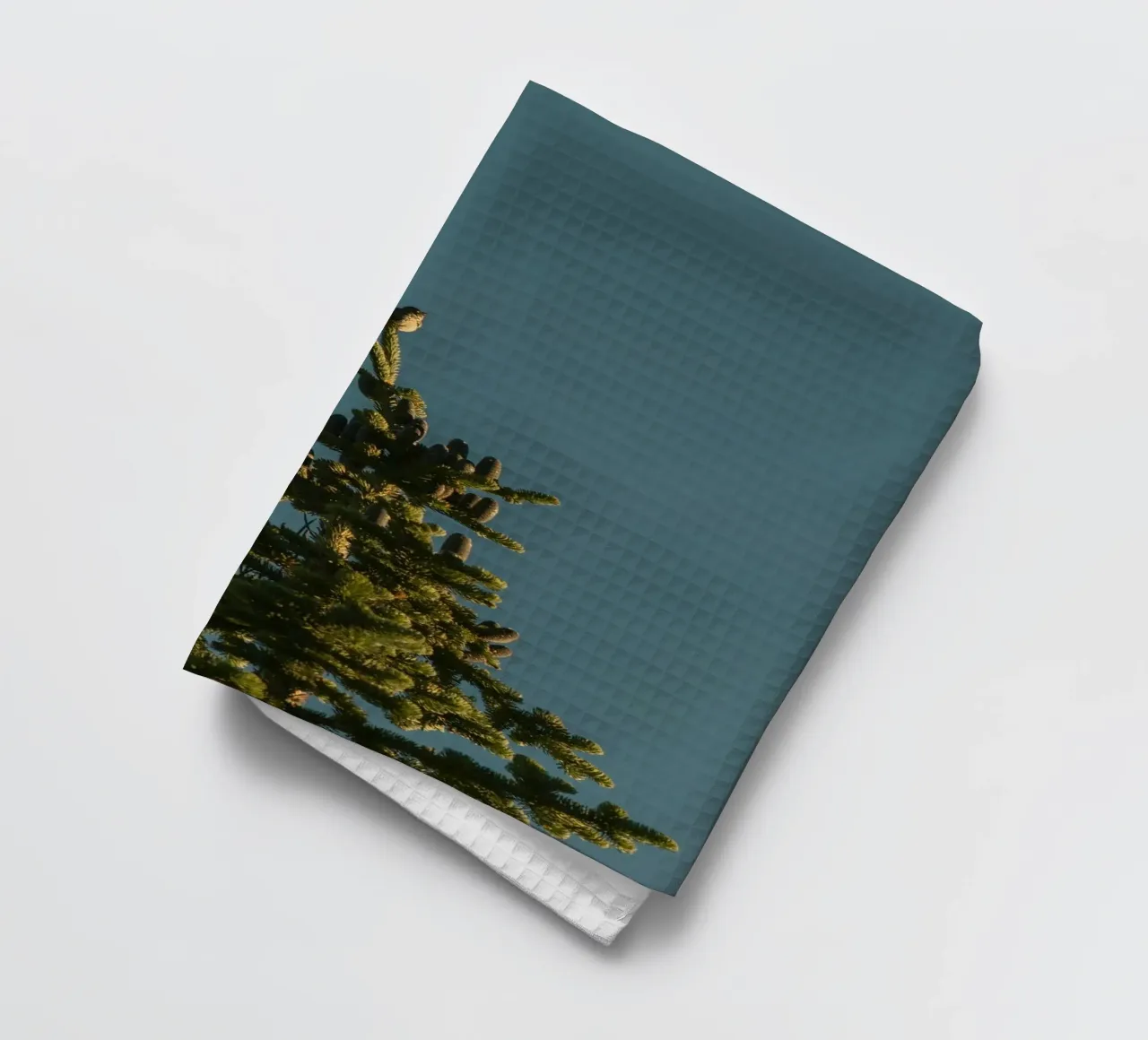 Little bird perched on the pine tree canovaccio da cucina da mip of map