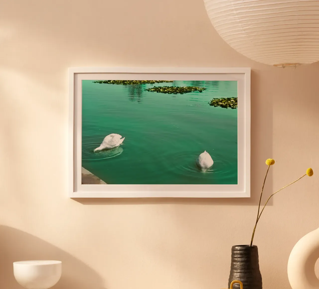 Cigni bianchi su un lago calmo - Stampa naturalistica Fine Art poster da jay