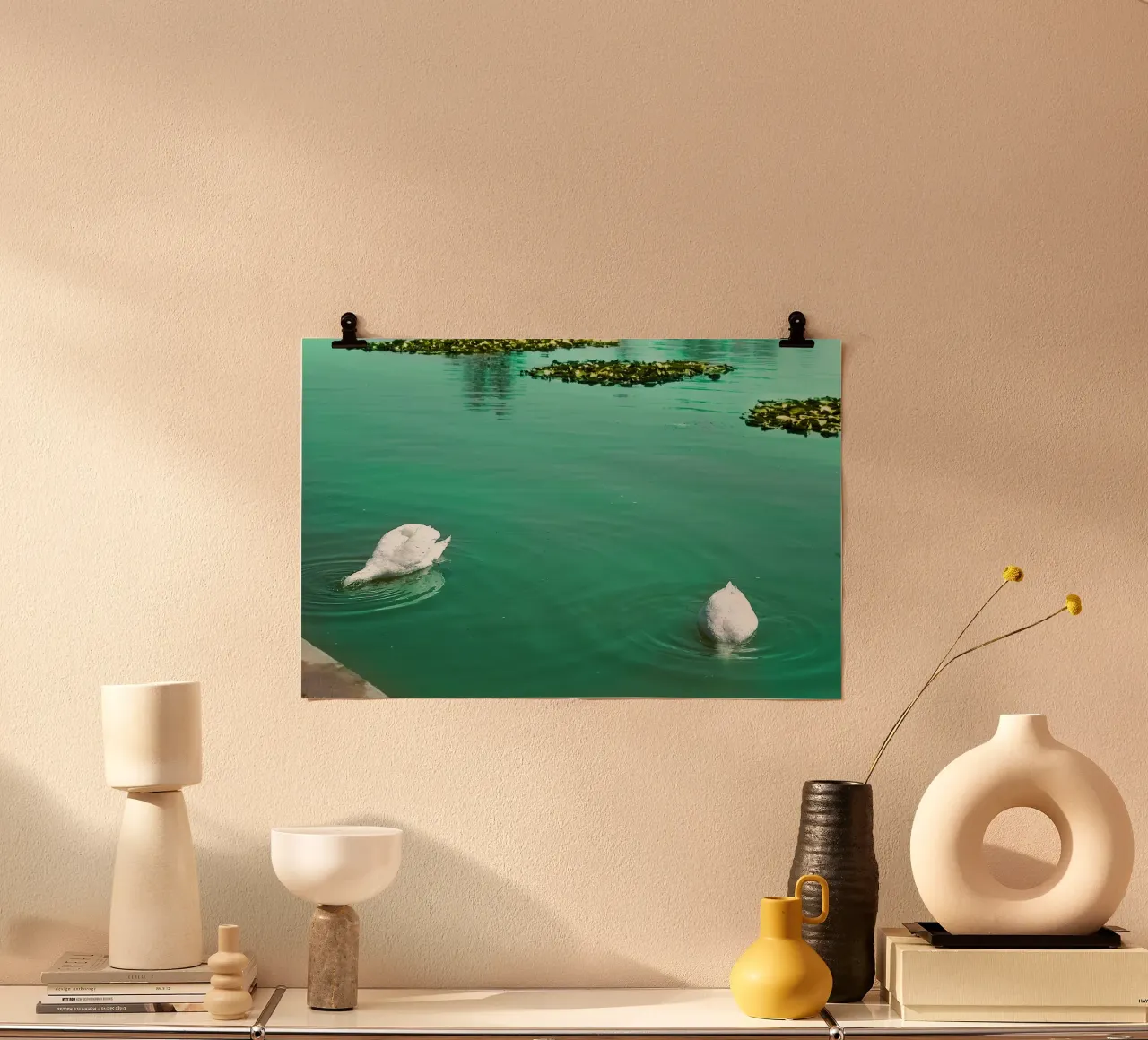 Cigni bianchi su un lago calmo - Stampa naturalistica Fine Art poster da jay