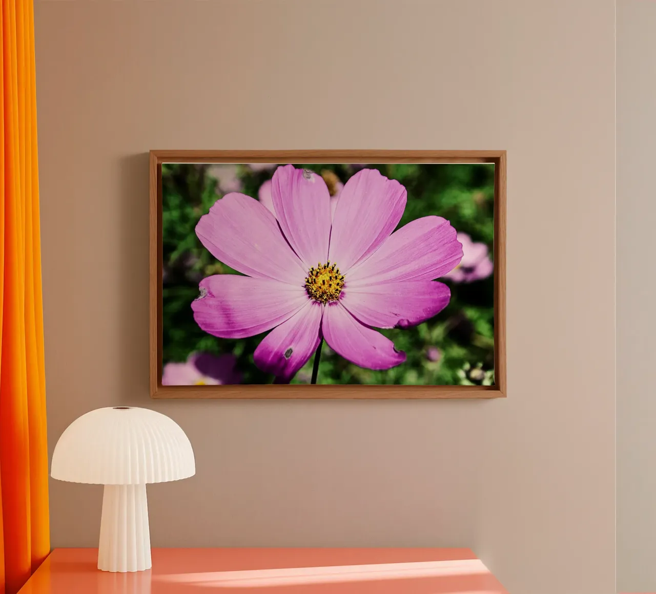 Close-up open flower - Nature Photography Wall Art Print canvas with Floater frame by jay
