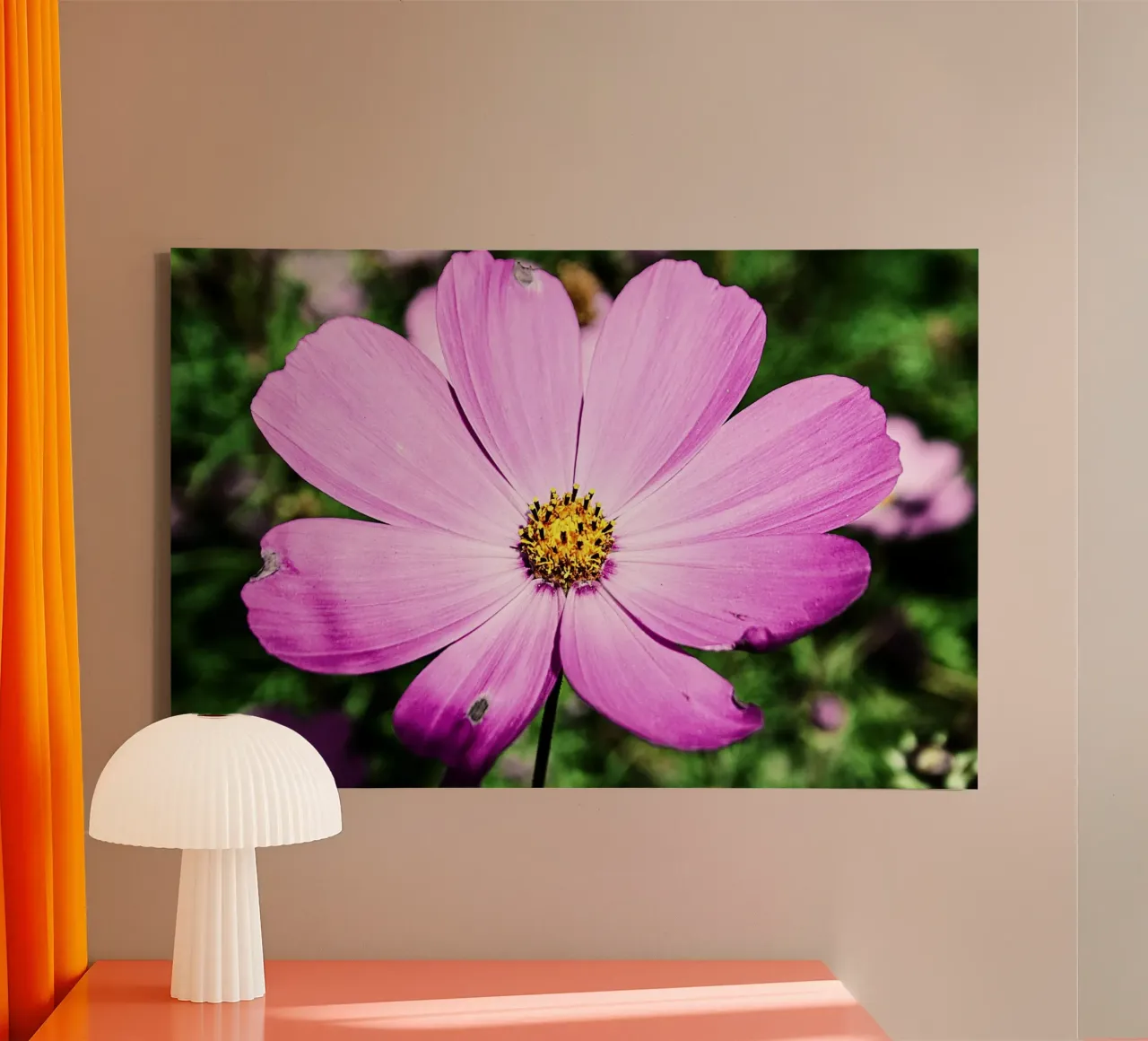 Close-up open flower - Nature Photography Wall Art Print canvas with Floater frame by jay