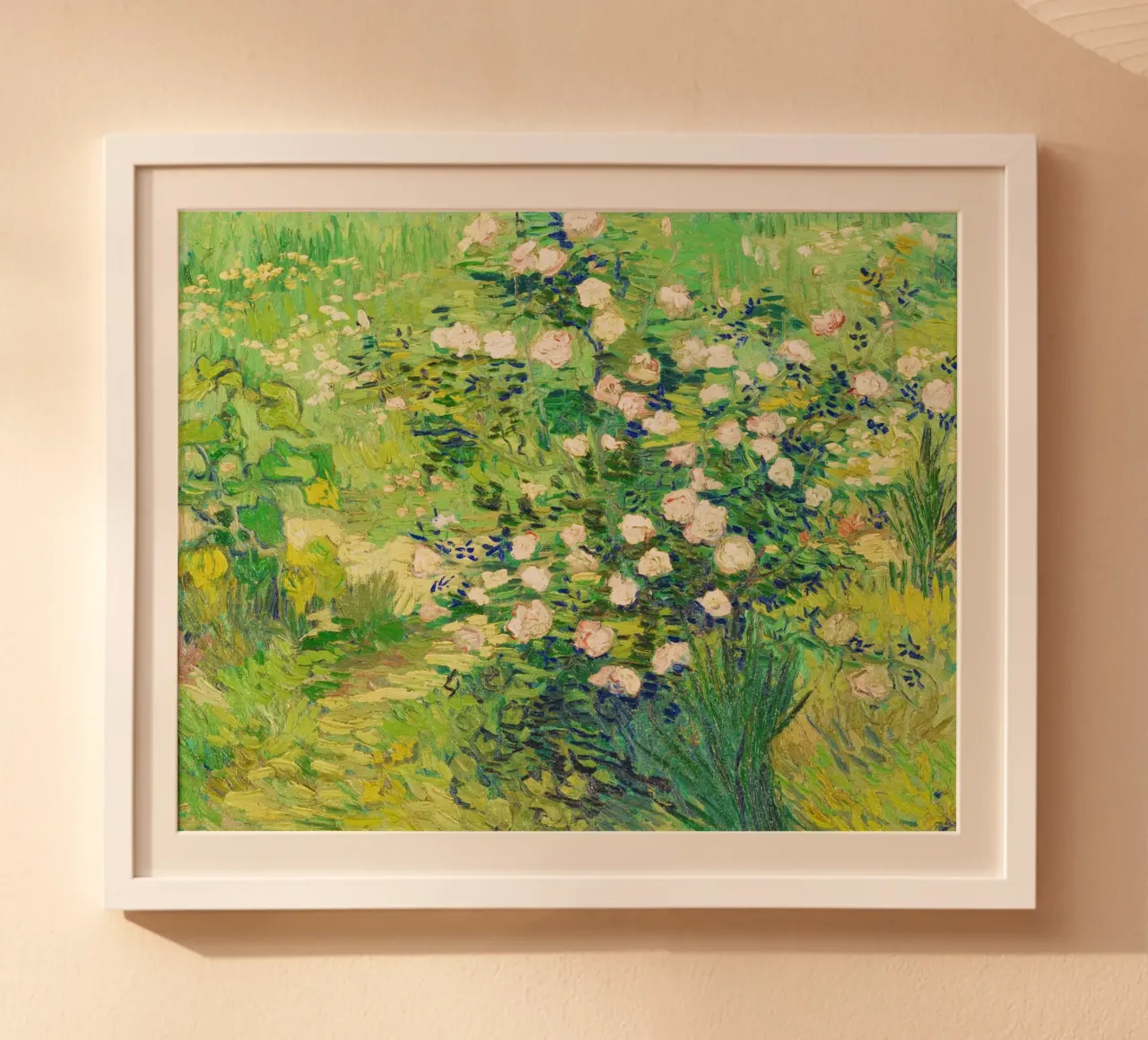 Rose - Vincent van Gogh poster da Van Gogh Prints