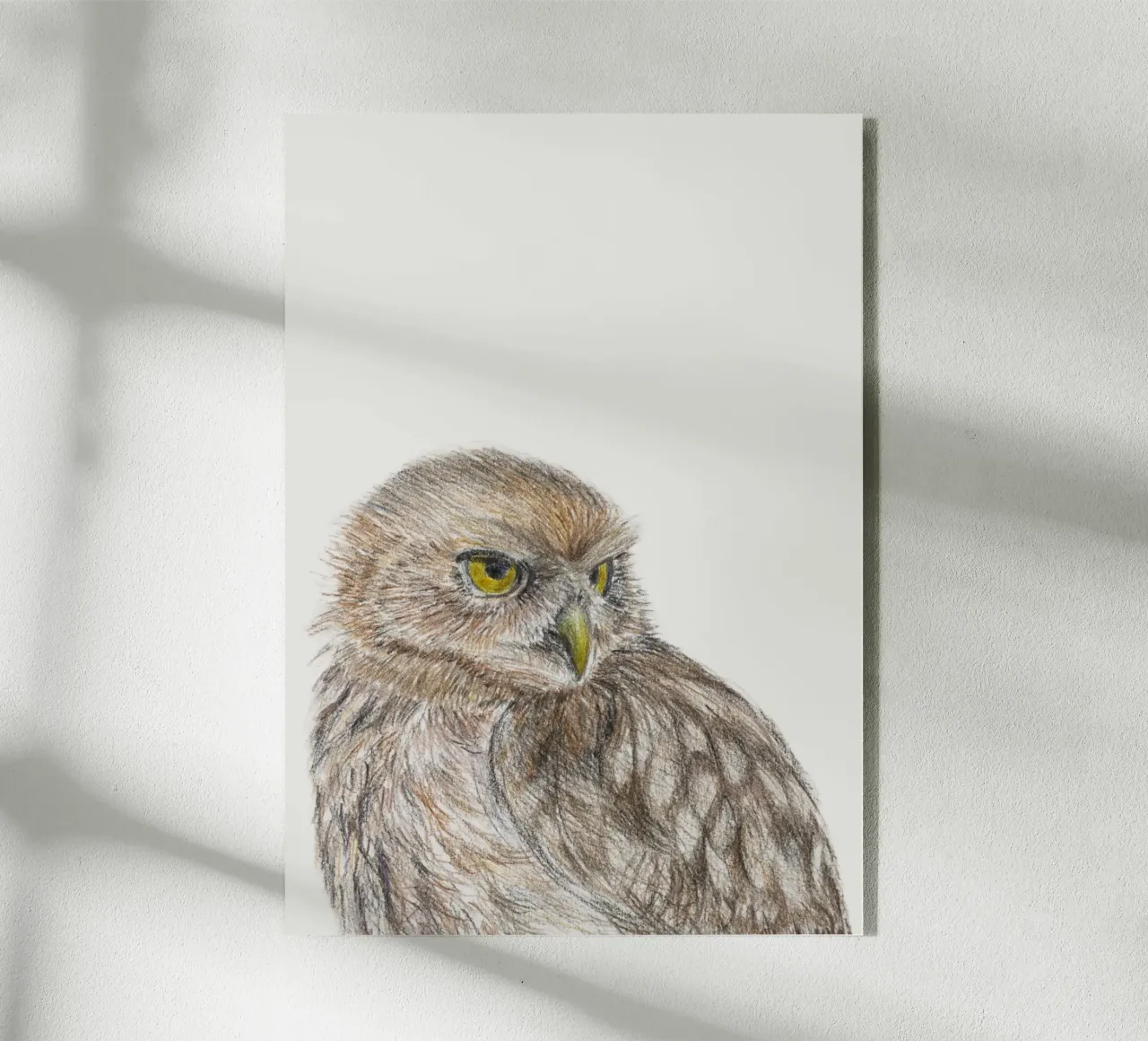 Il piccolo gufo plexiglass da Barbara Buderath Illustrationen