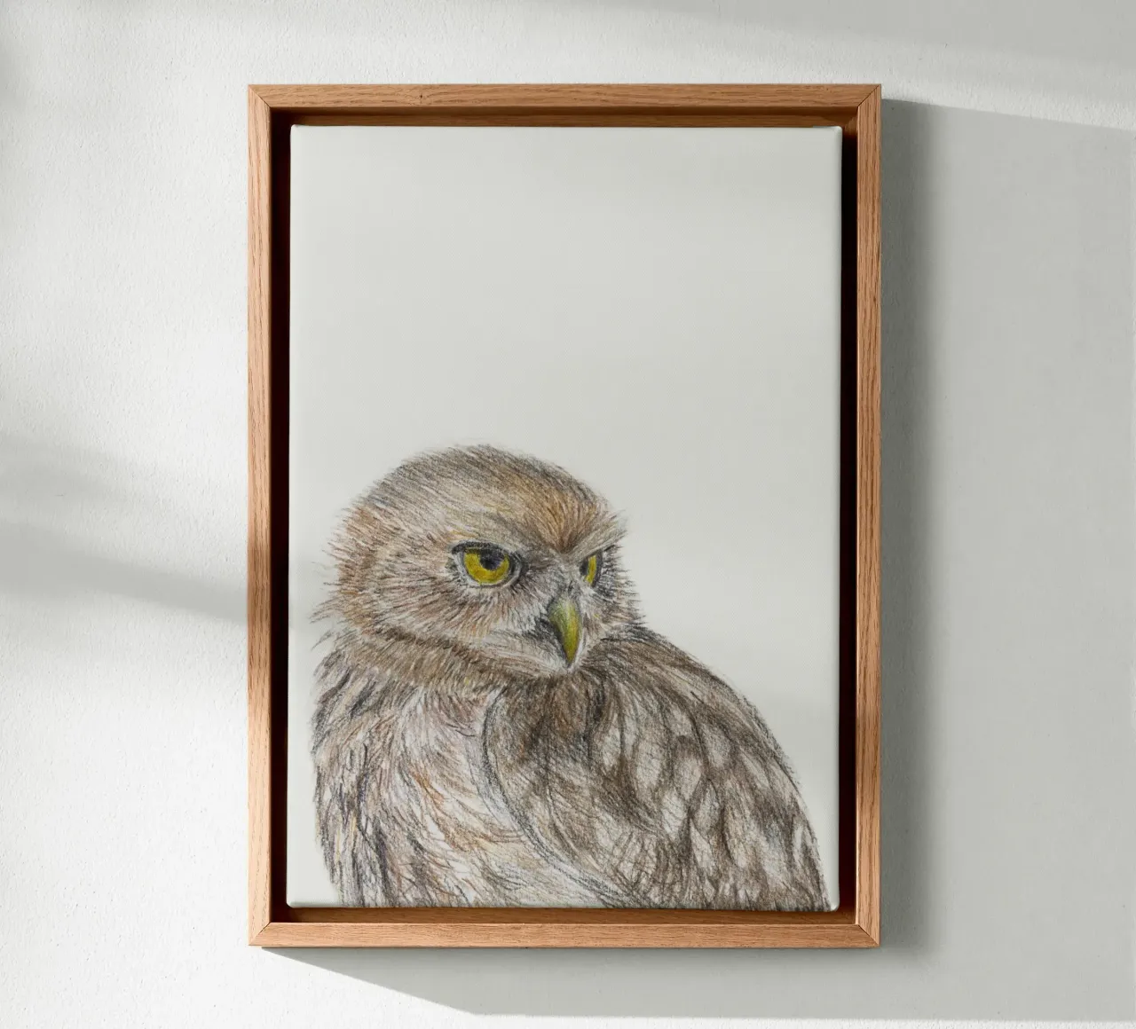 De kleine uil canvas met Baklijst van Barbara Buderath Illustrationen