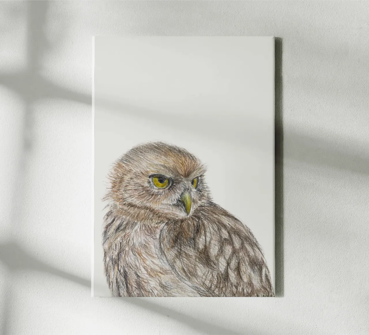 De kleine uil canvas met Baklijst van Barbara Buderath Illustrationen