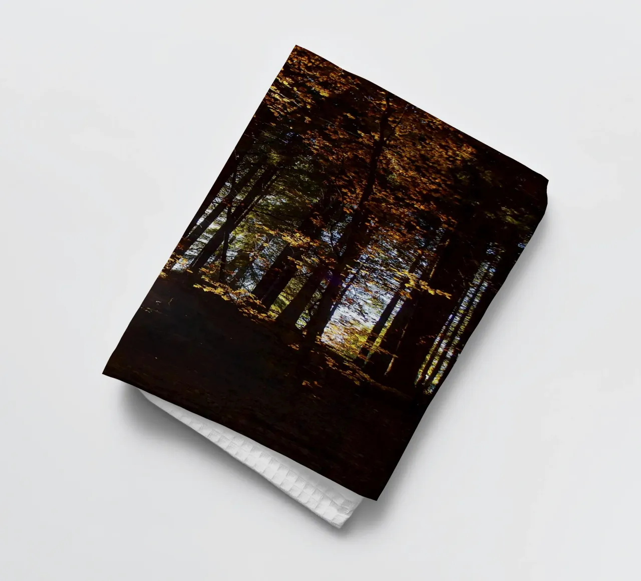 Le soleil transperce une forêt d'automne - Nature Photo Print torchon de jay