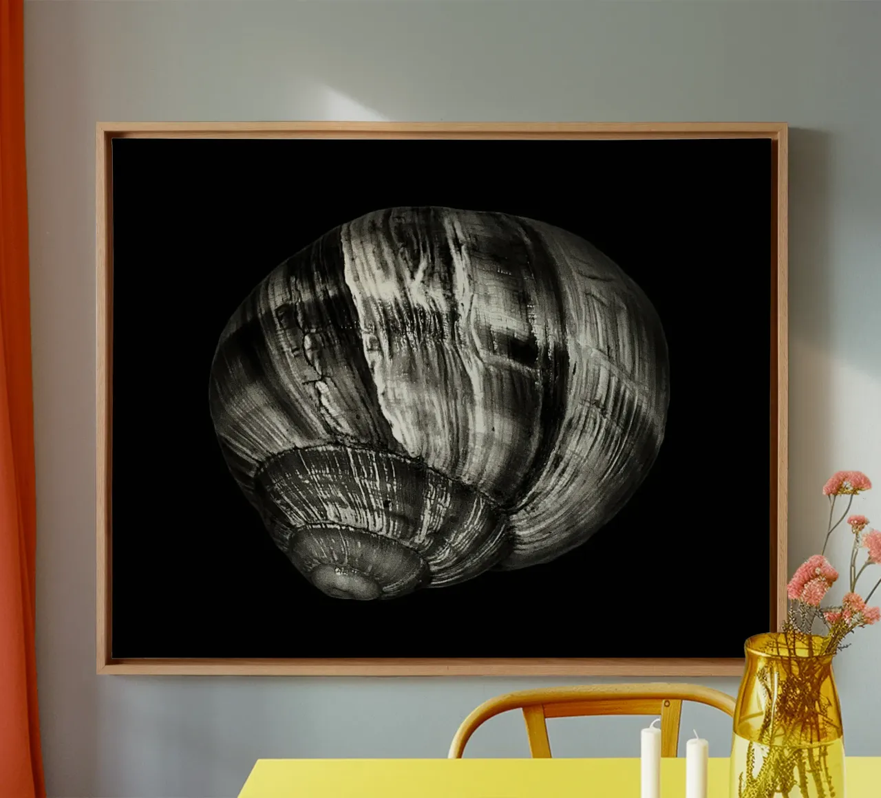 Black & White Close-Up – Spiral Seashell Nature Photo Print canvas with Floater frame by jay