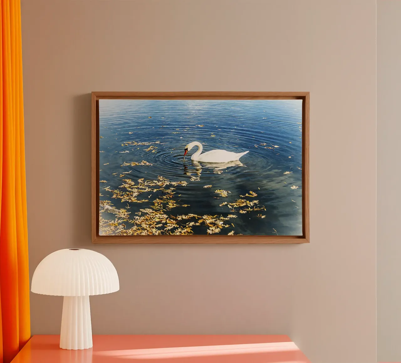 Zwaan op rustig meer met rimpelingen - Natuurfoto Print canvas met Baklijst van jay
