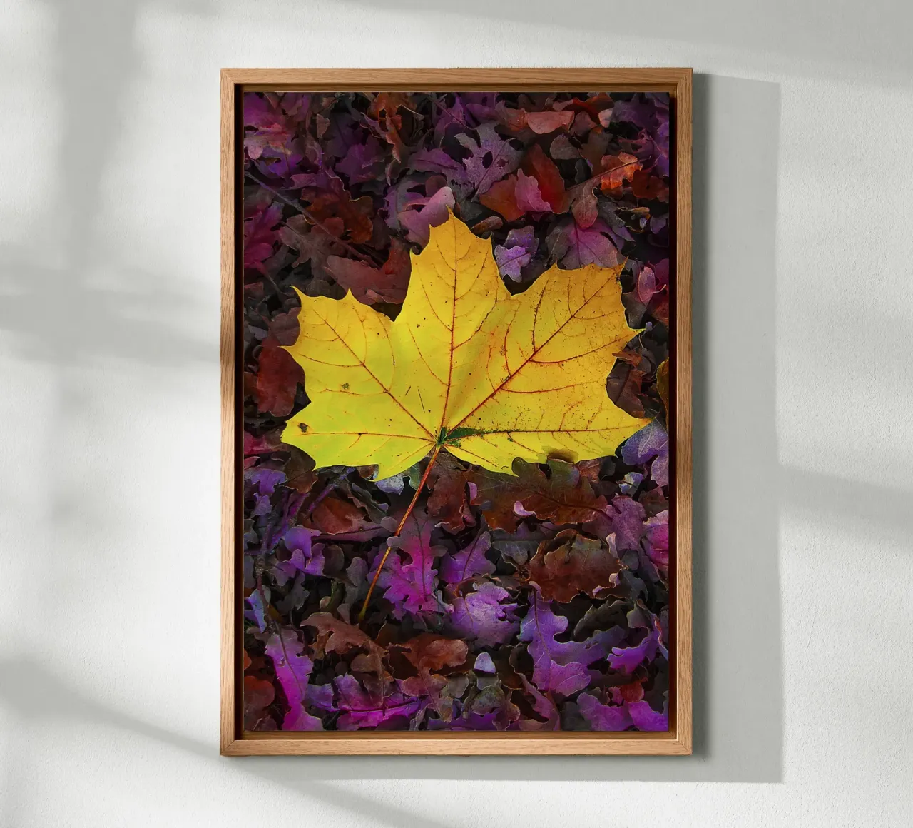 Feuille jaune sur feuillage violet - Nature Photo Print toile avec Caisse américaine de jay